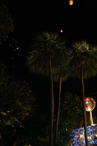 0786 Chiangmai.jpg